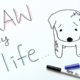 Draw My Life | Dog Meat Trade in South Korea