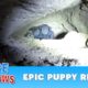 Epic puppy rescue - 18 feet into the earth!!!  Dangerous Hope For Paws rescue!