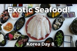 Exotic Korean Seafood in Gunsan, South Korea! (Day 8)
