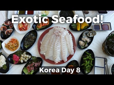 Exotic Korean Seafood in Gunsan, South Korea! (Day 8)