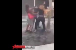 FEMALE HOOD FIGHTS | 2019 Compilation