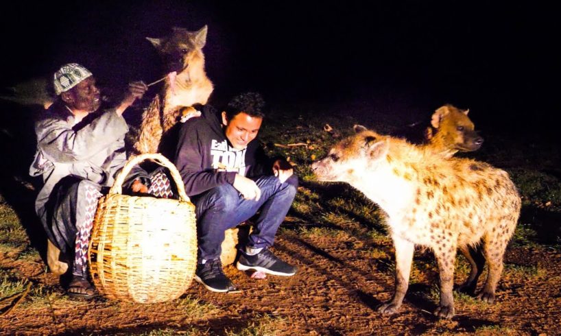 Face-To-Face with a GIANT HYENA in Ethiopia + Huge Ethiopian Street Food Tour in Harar!
