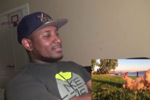 Fails of the Week 2 September 2016    FailArmy REACTION!!!