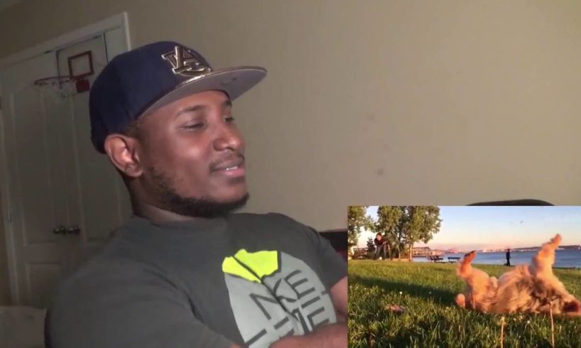 Fails of the Week 2 September 2016    FailArmy REACTION!!!