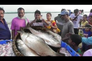 Fish Market Digha Mohona (Rui, Katla, Ilish, Pomfret, Lote ) | Street Food Loves You