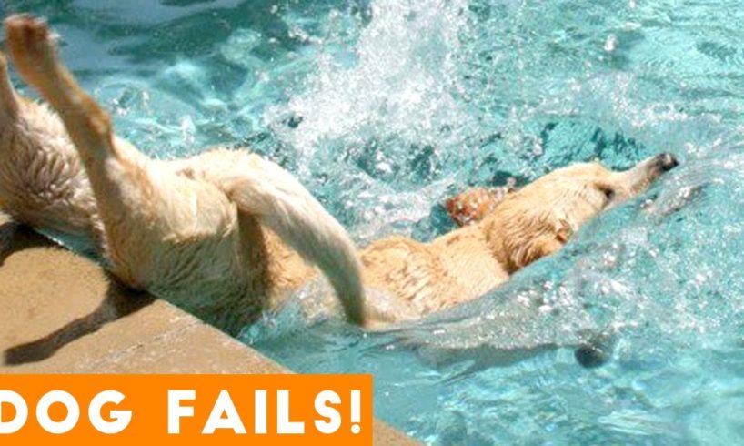 Funniest Dog Fail Compilation 2018 | Funny Pet Videos