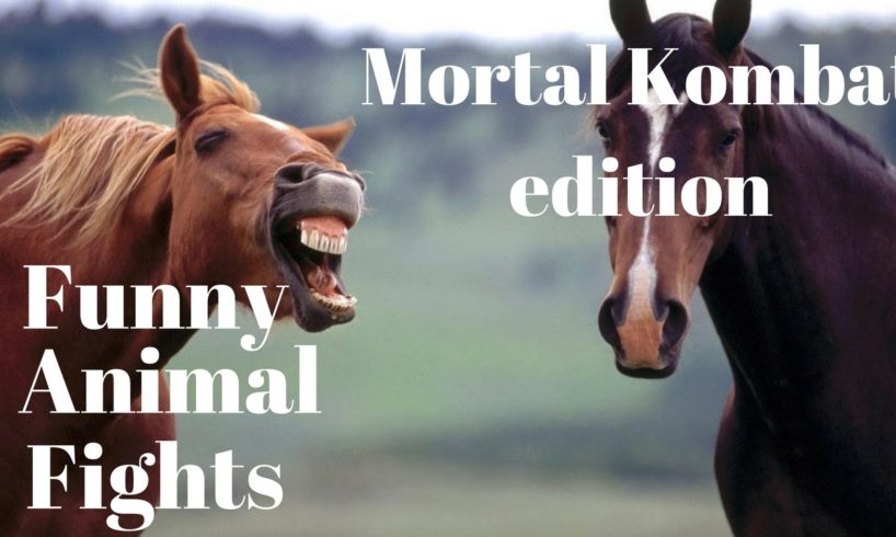 Funny Animal Fights -  Mortal Kombat Edition