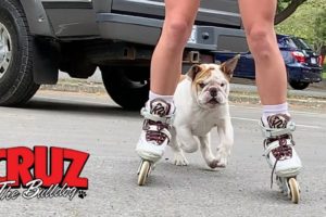 Girls, Roller Blades, And One Cute Bulldog Puppy