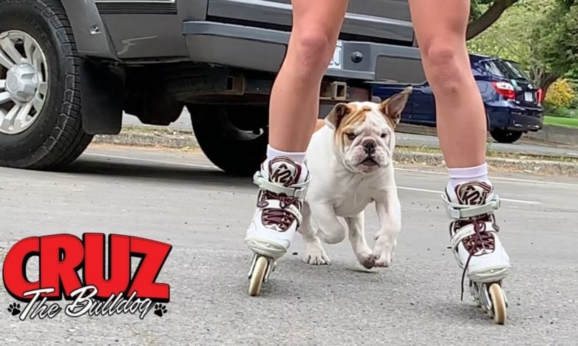 Girls, Roller Blades, And One Cute Bulldog Puppy