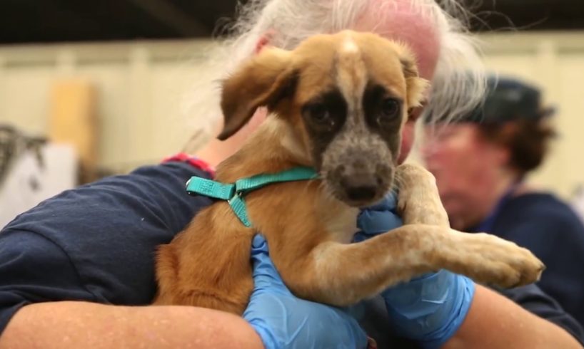 Giving Tuesday 2017: Make your gift count!