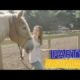 Grandpa Waffles The Rescue Horse Gets SPOILED For His Rescue Anniversary | The Dodo Party Animals