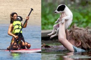 Great People Saving Animals Lives #5