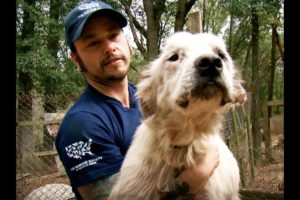 HSUS: Animal Rescue Team