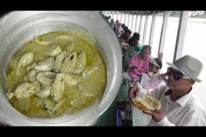 Hilsa Fish Festival Series | What a Combination Rice with Dahi Ilish | Street Food Loves You