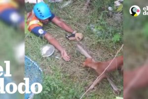 Hombre entra en un pozo para rescatar a un perro callejero | El Dodo