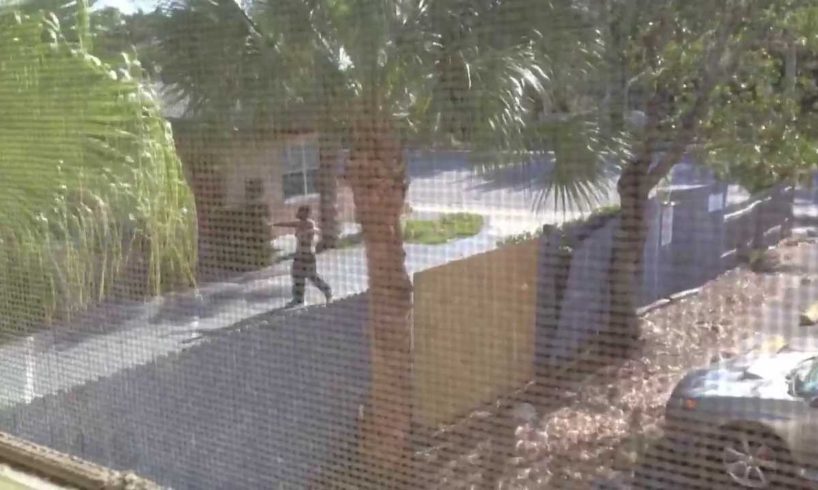 Hood Fight In St. Pete