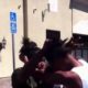 Hood fights (Girl fight) New) Girl Gets Beat Down in parking Lot 2018