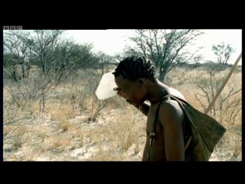 Human Mammal, Human Hunter | Attenborough |  Life of Mammals | BBC