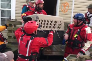 Hurricane Harvey: Animal Rescue Team rescues animals from flooding in Beaumont, TX