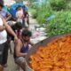 Indian Street Food at Marriage Ceremony | Full Chicken Leg Piece Tandoori Preparation | Food Lovers