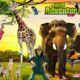 Kids and WILD ANIMALS at the Zoo | Animal Adventure Park |  Wild Animal Adventure