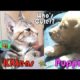 Kittens Vs. Puppies (Who's Cuter?)