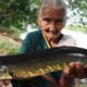 Koramenu Fish Recipe | Murrel Fish curry By Granny Mastanamma