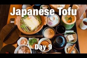 Kyoto Attractions & Japanese Tofu Meal