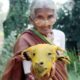 Lamb Head Recipe || Traditional Sheep Head curry By My Grandma's