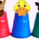 Learn Farm/ ZOO Wild Animals With Color Cups And Pj Mask/ Wrong Animal Heads and Color Paint