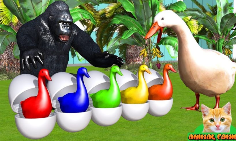 Learn colors with animals story: gorilla rescues eggs of goose - Cartoon for children