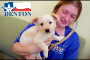 Linda McNatt Animal Care and Adoption Center - Love for the Animals