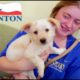 Linda McNatt Animal Care and Adoption Center - Love for the Animals