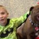 Little Boy Has Saved HUNDREDS Of Shelter Dogs | The Dodo Heroes