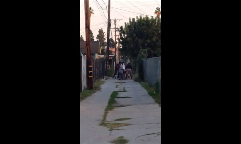 Long beach hood fights 20's vs 20's