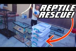 MASSIVE REPTILE RESCUE!! WHAT did we SAVE?!