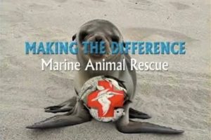 Making The Difference - Marine Animal Rescue