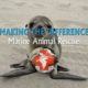 Making The Difference - Marine Animal Rescue