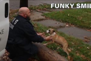 Man Reaches Behind Trash Can To Rescue a Puppy then Find another animal need help