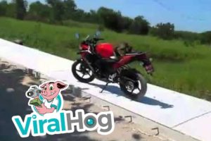 Man VS Monkey || ViralHog