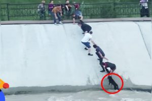 Most Intense Human Chain Ever Rescues Dog Stranded in Canal | The Dodo