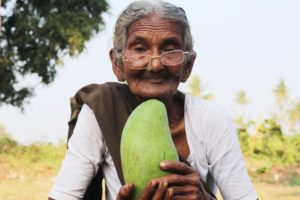 My 105 years Grandma's Raw Mango Dal || Mamidikaya Pappu || Country Foods