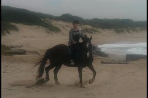 My Near Death Experience  Horse Riding  Galloping #1