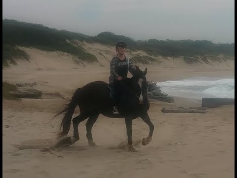 My Near Death Experience  Horse Riding  Galloping #1