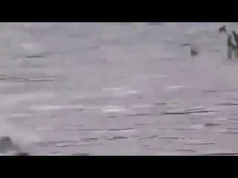 NEAR DEATH COMPILATION CAPTURED ON CAMERA #EP19
