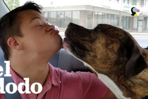 Pitbull hace que un chico supere su miedo hacia los perros | El Dodo