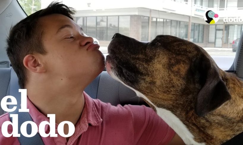 Pitbull hace que un chico supere su miedo hacia los perros | El Dodo