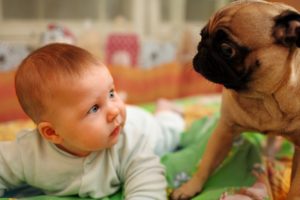 Puppies and Babies Playing Together Compilation NEW