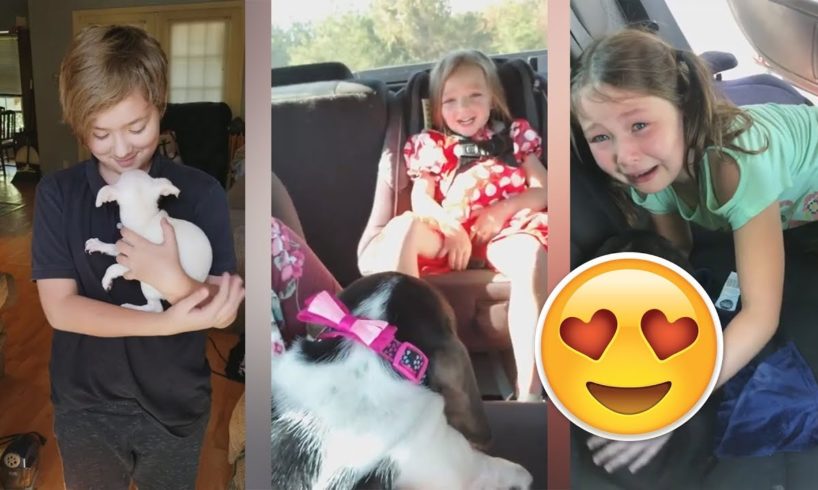 Puppy Surprise Compilation #120 November 2018 | Family Received The Cutest Puppy EVER!!