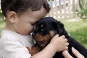 Puppy are best friend to grow up with baby - Cute Puppies and Babies Compilation